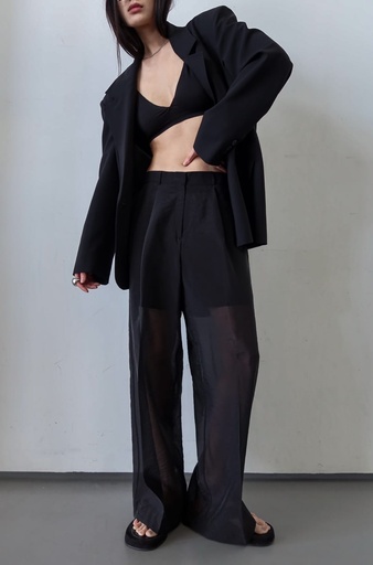 06-ORGANZA CROPPED PANTS